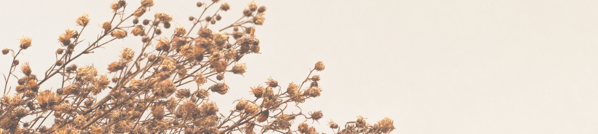 banner_Jardin